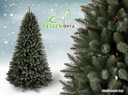 Ель GreenTerra Ариозо, эффект инея 2.2 м