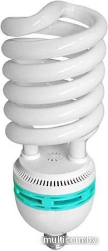 Люминесцентная лампа FST L-E27 45 Вт УТ-00000284