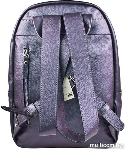 Городской рюкзак Carlo Gattini Premium Albiate 3103-57 (северное сияние)