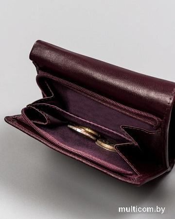 Кошелек Cedar Rovicky R-RD-33-GCL (сливовый)