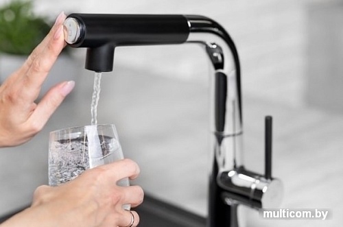 Смеситель Armatura Mungo 6733-910-00