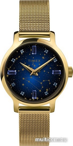 Наручные часы Timex Transcend TW2V51900