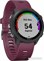 Умные часы Garmin Forerunner 245 (вишневый)