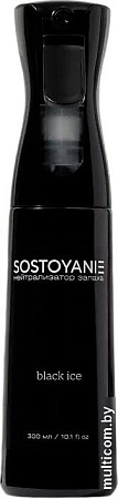 Нейтрализатор запаха Sostoyanie Black Ice (300 мл)