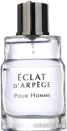 Туалетная вода Lanvin Eclat d'Arpege Pour Homme EdT (30 мл)