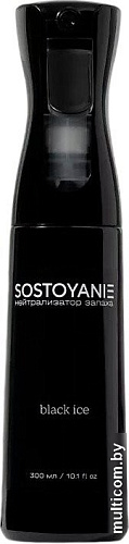 Нейтрализатор запаха Sostoyanie Black Ice (300 мл)