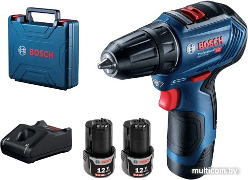 Ударная дрель-шуруповерт Bosch GSB 12V-30 Professional 06019G9120 (с 2-мя АКБ, кейс)