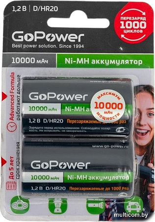 Аккумулятор GoPower 00-00018323
