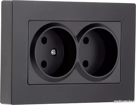 Рамка SmartBuy SBE-06b-Twin-FR