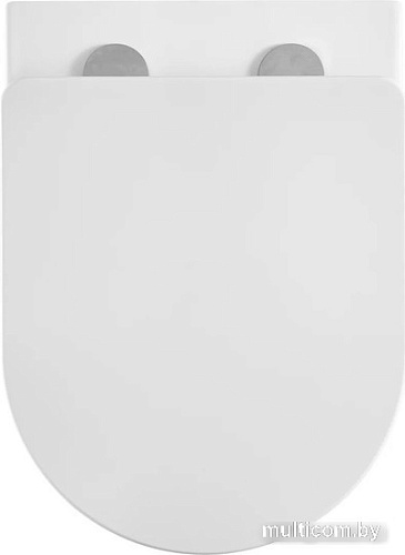 Унитаз Azario Teramo AZ-8010-1000+AZ-0053-UQ