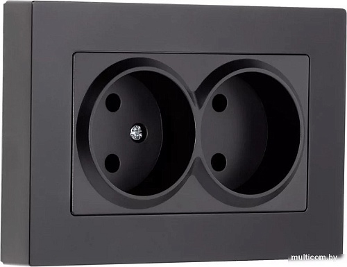 Рамка SmartBuy SBE-06b-Twin-FR