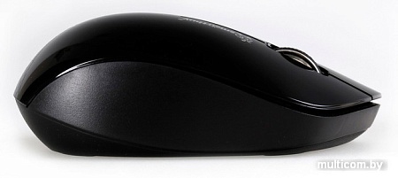 Мышь SmartBuy 309AG Black (SBM-309AG-K)