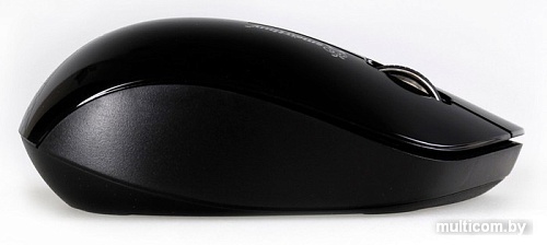 Мышь SmartBuy 309AG Black (SBM-309AG-K)