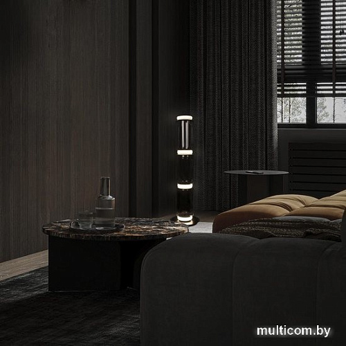 Торшер LOFT IT Noctambule 10193F/L