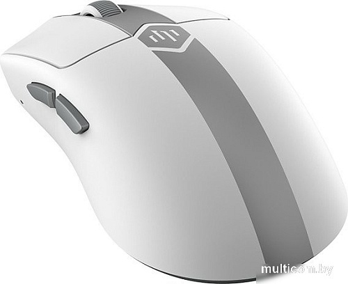 Игровая мышь Dark Project ME5 (белый)