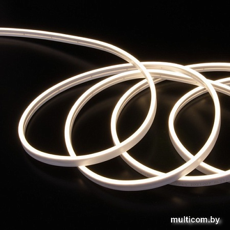 Гибкий неон Elektrostandard 24V 10W 120Led 2835 IP65, дневной белый a056259
