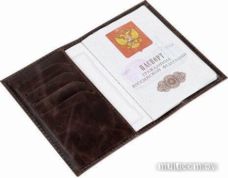 Обложка для паспорта BRAUBERG 3D герб 238194