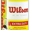 Мяч Wilson Championship Extra Duty WRT100101 (3 шт)