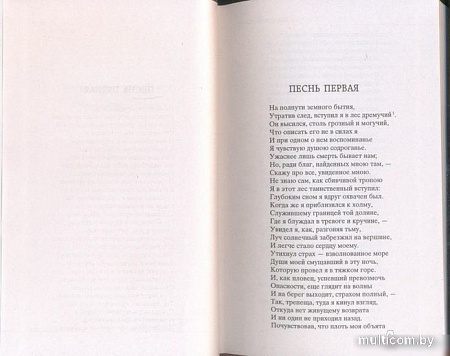 Книга издательства Азбука. Божественная Комедия (Алигьери Д.)