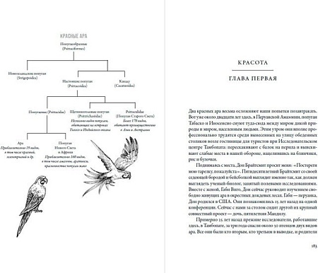 Книга издательства Альпина Нон-фикшн. Воспитание дикости. Как животные создают свою культуру (Сафина К.)