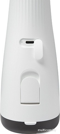 Ирригатор Redmond (Редмонд) YR4501 (белый)