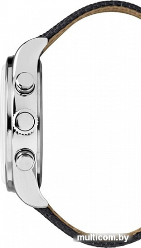 Наручные часы Timex TW2R38200