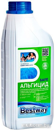 Bestway Альгицид Safe непенящийся ASP1LBW (1кг)