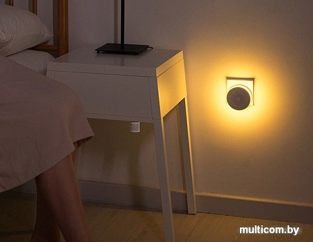 Датчик для умного дома Xiaomi MiJia Human Body Sensor (международная версия)