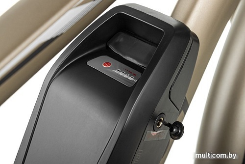 Электровелосипед MyWay Let 250 26 (бронзовый)