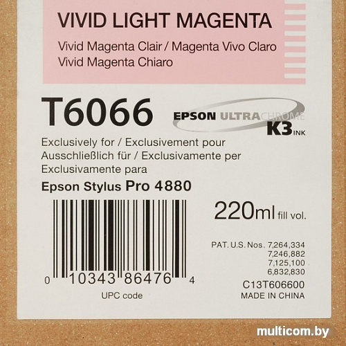 Картридж Epson C13T606600