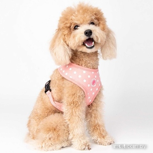 Шлейка Pinkaholic Ida NAUA-HA7624-IP-L (розовый)