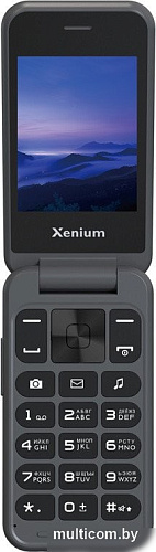 Телефон Xenium Xenium X680 (темно-серый)