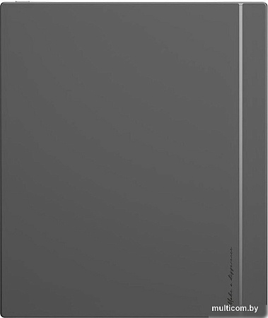 Электронная книга Onyx BOOX Tab X C