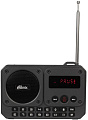 Радиоприемник Ritmix RPR-010