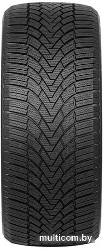 Автомобильные шины Arivo Winmaster ProX ARW3 195/65R15 95T XL