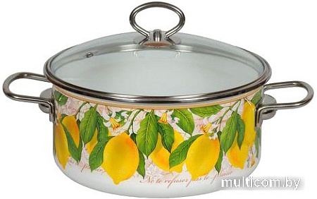 Кастрюля СтальЭмаль Limon 1SB245S