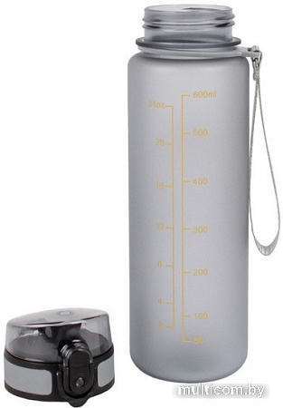 Бутылка для воды Darvish DV-H-1604-1 600мл (серый)