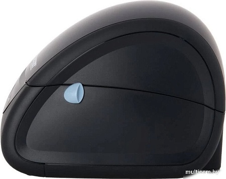 Чеки и этикетки Mertech MPRINT LP58 EVA RS232-USB (черный)