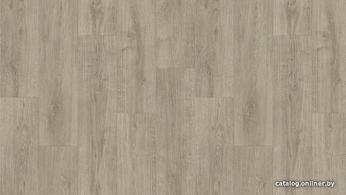 Линолеум Tarkett Sigma Coventry 1 (2.5x5.5м)