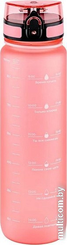 Бутылка для воды Elan Gallery Style Matte 1л 280184 (пыльная роза)