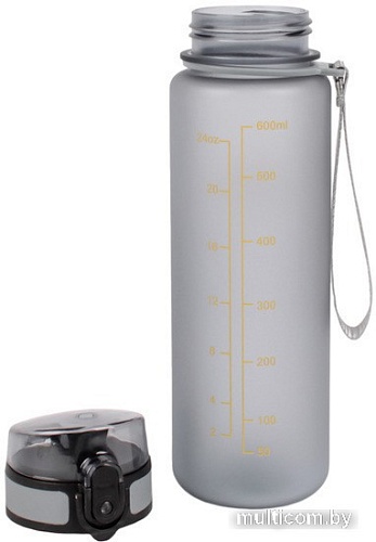 Бутылка для воды Darvish DV-H-1604-1 600мл (серый)