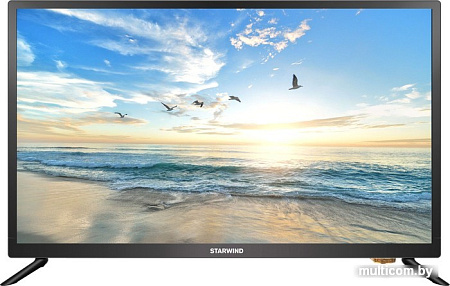 Телевизор StarWind SW-LED24BB201