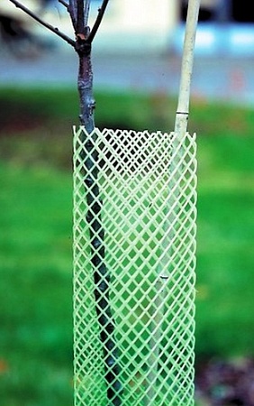 Укрывной материал MKDS Для стволов деревьев (6 см/110 см, белый)