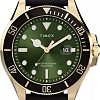 Наручные часы Timex TW2Y05300