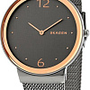 Наручные часы Skagen SKW2382