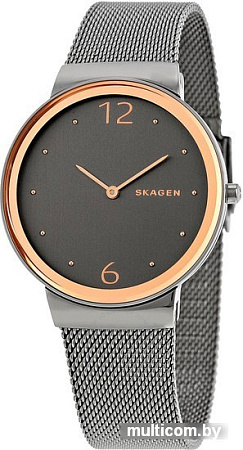 Наручные часы Skagen SKW2382