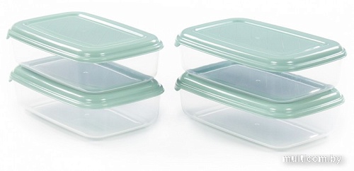Набор контейнеров Полесье №40 1.6л с крышками 73782 (4 шт, прозрачный/бледно-оливковый)