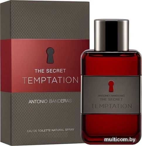 Antonio Banderas The Secret Temptation for men EdT (100 мл)