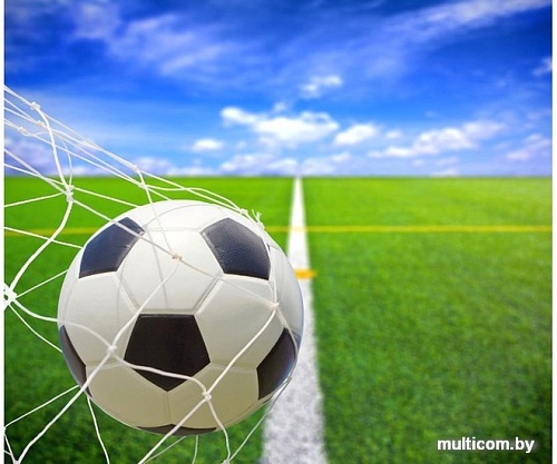 Фотообои Citydecor Гол с защитным покрытием 300x254