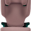 Детское автокресло Britax Romer Discovery Plus 2 (dusty rose)